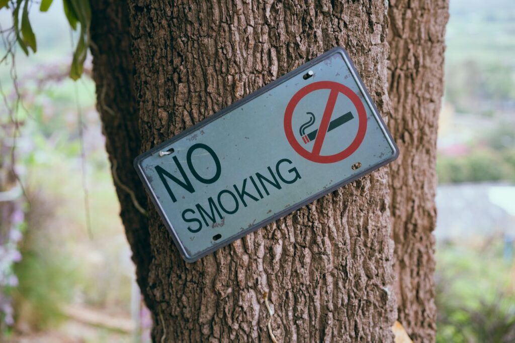 A No Smoking sign affixed to a tree trunk in an outdoor setting.