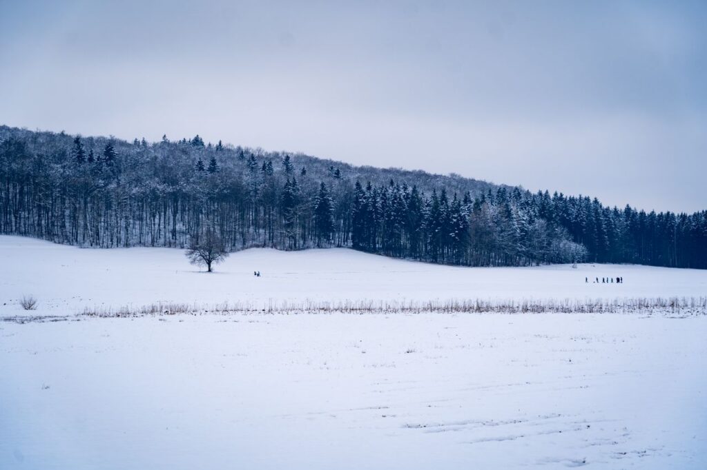A tranquil snow-covered landscape in Lenningen, Germany featuring a snowy field and distant hikers.